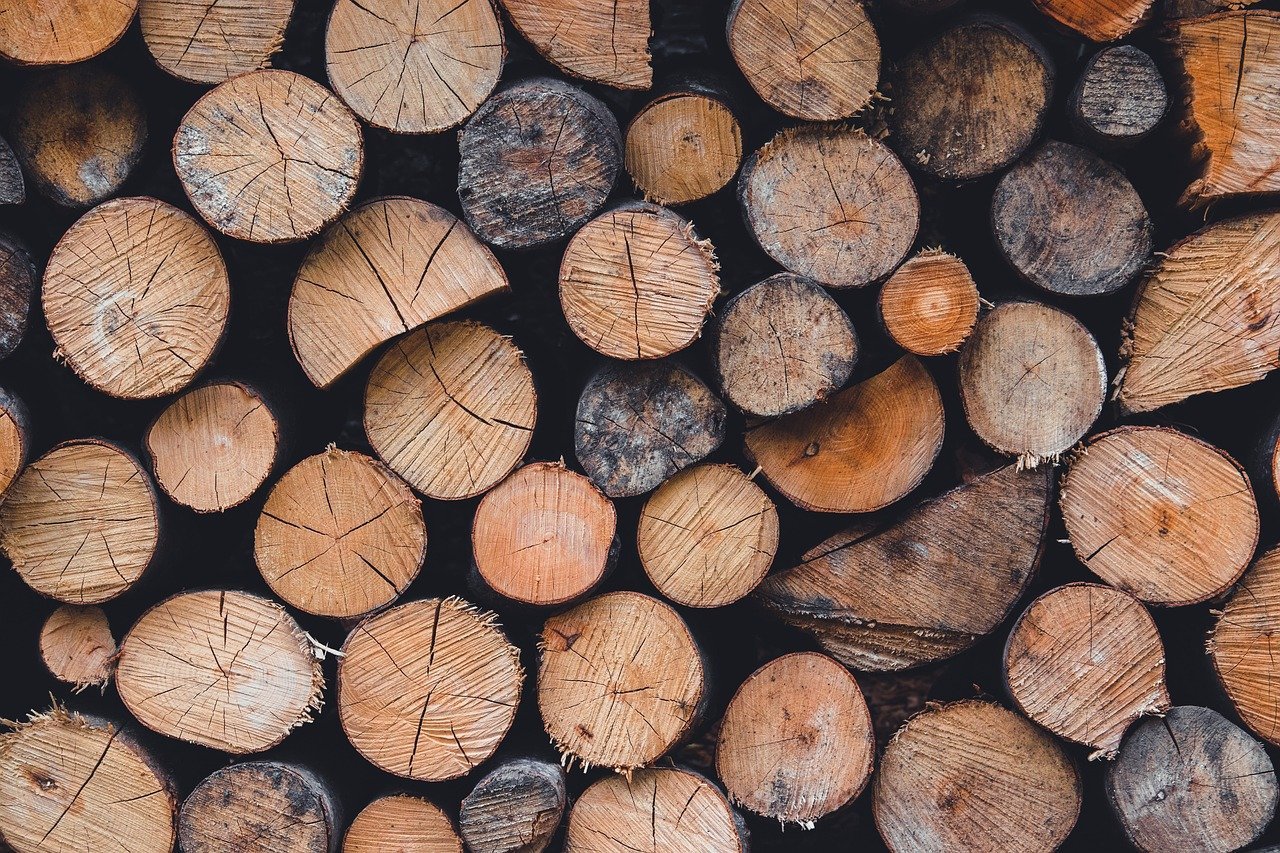 découvrez les impacts de la déforestation sur l'environnement, la biodiversité et le climat, ainsi que les solutions pour préserver nos forêts.