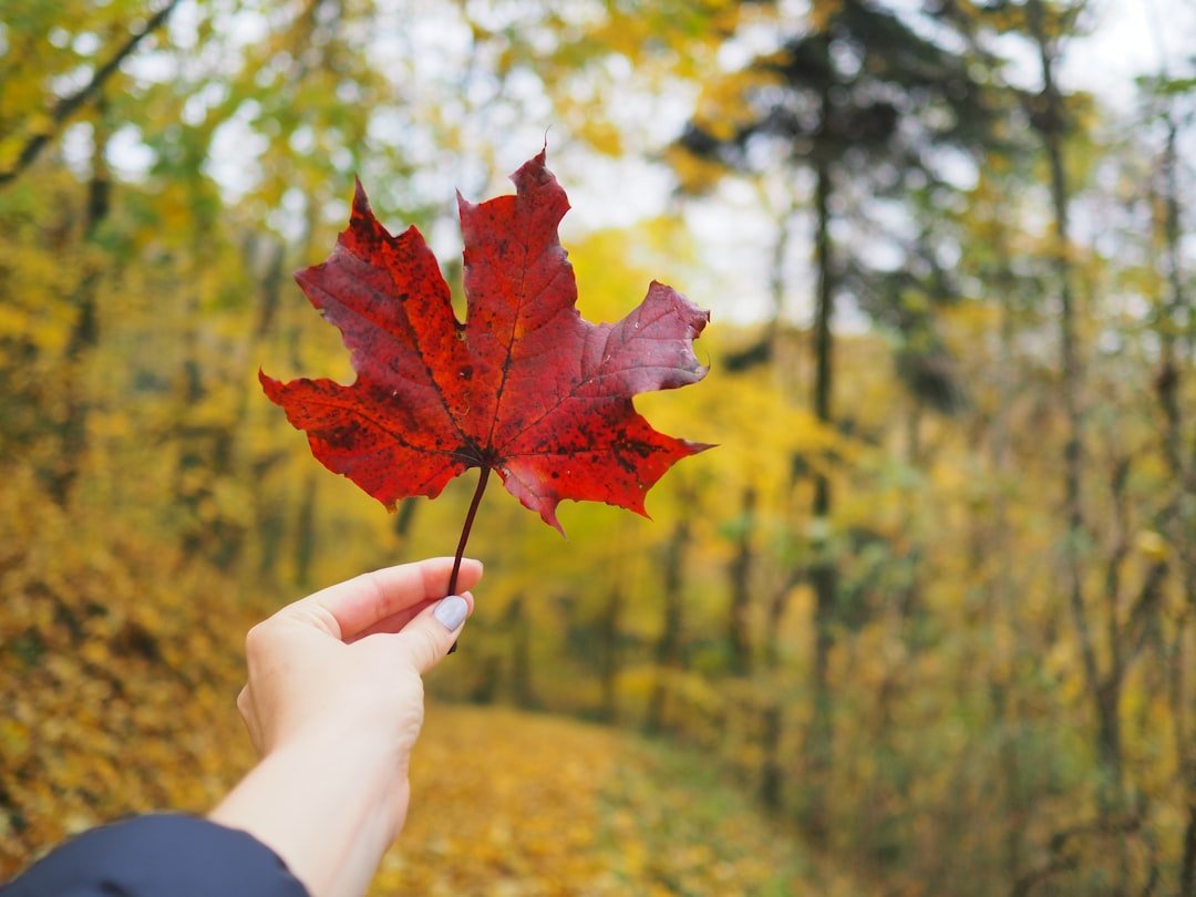 découvrez nad+, une molécule clé pour la santé cellulaire et le métabolisme énergétique, essentielle au vieillissement et à la régénération des cellules.