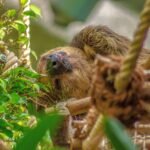 découvrez des techniques efficaces et des conseils pour améliorer votre sommeil profond et profiter d'un repos réparateur chaque nuit.