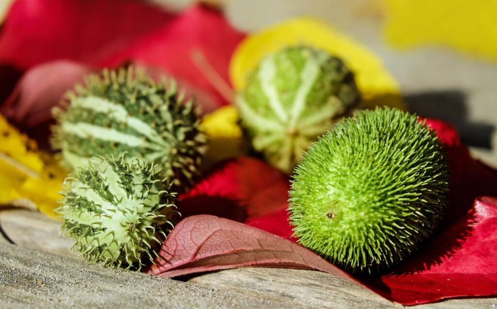 découvrez les effets de la consommation de caféine pendant la grossesse et recevez des conseils pour assurer la santé de la maman et du bébé.