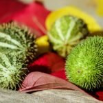 découvrez les effets de la consommation de caféine pendant la grossesse et recevez des conseils pour assurer la santé de la maman et du bébé.