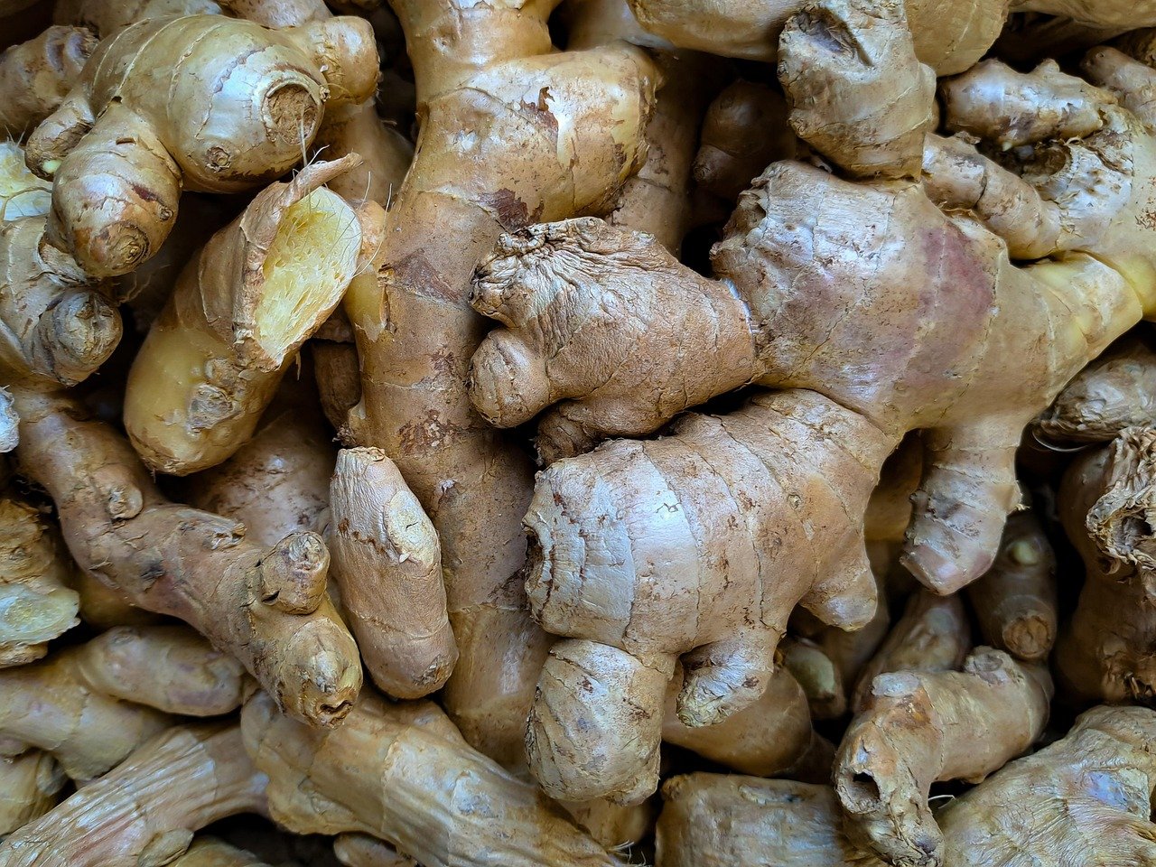 découvrez les bienfaits du gingembre, une racine aux nombreuses vertus pour la santé, utilisée en cuisine et en médecine naturelle.