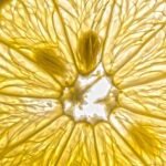 découvrez nos astuces et recettes pour une préparation de repas sains, rapides et équilibrés, parfaits pour garder la forme au quotidien.