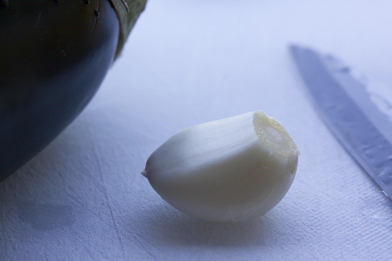 découvrez des recettes et conseils pratiques pour la préparation de repas sains, équilibrés et savoureux au quotidien.