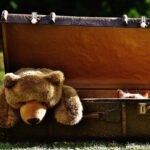 découvrez les coûts cachés des régimes populaires et comment ils peuvent impacter votre budget et votre santé.