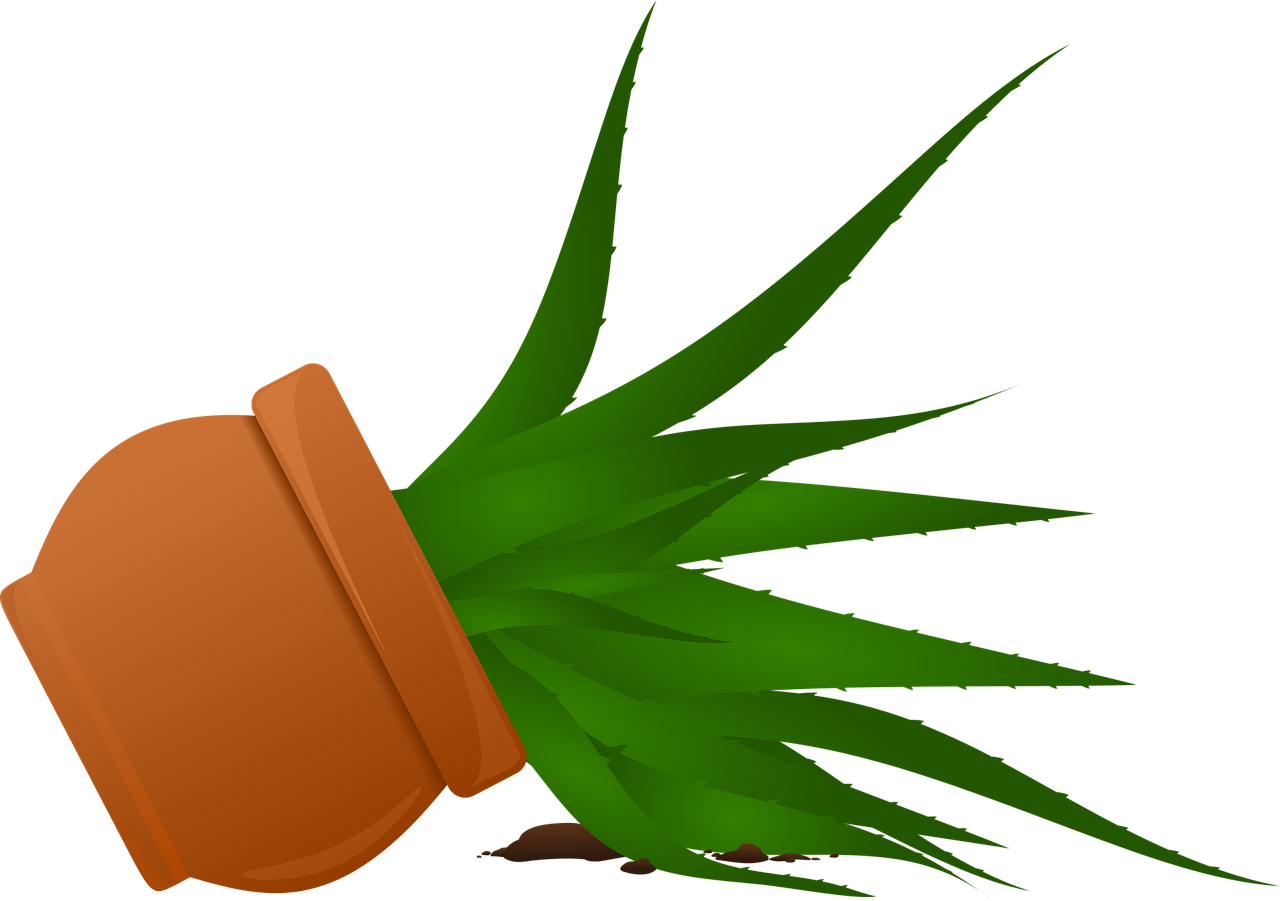 découvrez des remèdes maison efficaces pour soulager l'hyperemèse gravidique et améliorer votre bien-être pendant la grossesse.