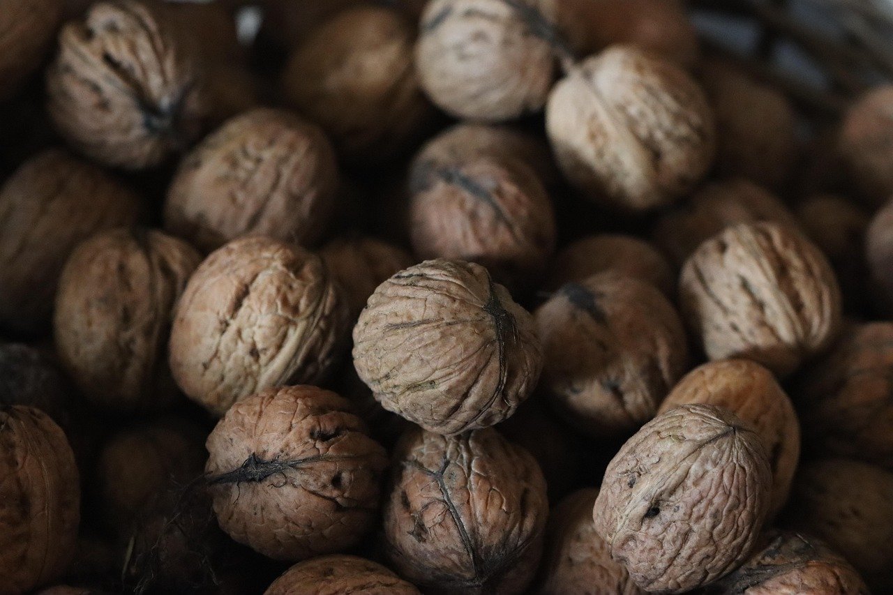 découvrez les superaliments, des ingrédients naturels riches en nutriments essentiels pour booster votre énergie, renforcer votre santé et améliorer votre bien-être au quotidien.