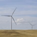 découvrez des alternatives de régime durables pour adopter une alimentation respectueuse de l'environnement et bénéfique pour votre santé.