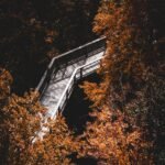 briser le cycle de la solitude : découvrez des stratégies efficaces pour retrouver le lien social et améliorer votre bien-être émotionnel.