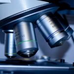 découvrez les tests médicaux préconceptionnels essentiels pour préparer votre grossesse en toute sérénité et garantir la santé de votre futur bébé.