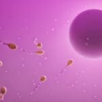 Colpotrophine ovule avis : ce qu'il faut savoir avant