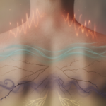 découvrez quelles émotions peuvent être liées à chaque zone de votre dos et comment elles influencent vos douleurs dorsales pour mieux comprendre votre corps.